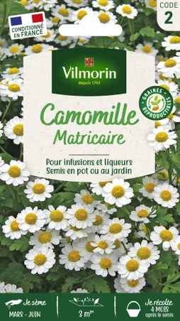 Camomille VILMORIN