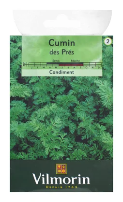 Cumin des prés VILMORIN 1 g