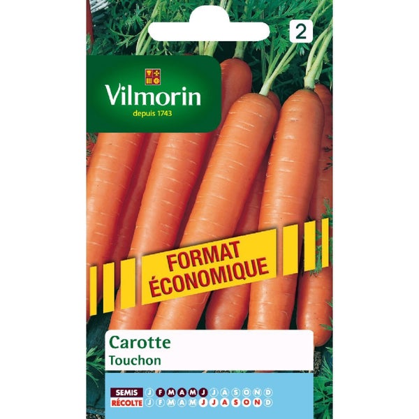 Carotte Touchon Vilmorin 15 G