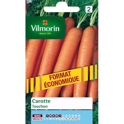 Carotte Touchon Vilmorin 15 G