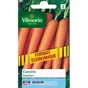 Carotte Touchon Vilmorin 15 G