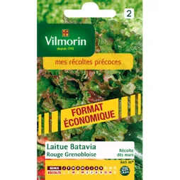 Laitue Batavia Batavia Rouge Grenobleco Vilmorin 10 G