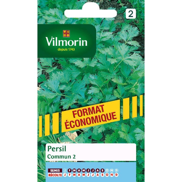 Persil Commun 2 Vilmorin 15 G