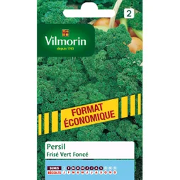 Persil Frisé Vert Foncé Vilmorin 15 G
