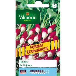 Radis De 8 Jours Vilmorin 30 G