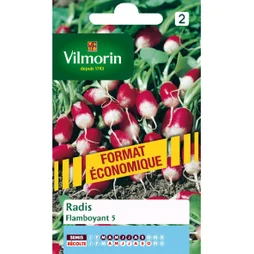 Radis flamboyant VILMORIN 30 g