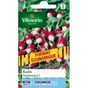 Radis flamboyant VILMORIN 30 g