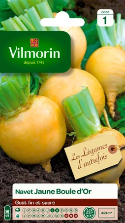 Navet jaune boule d or VILMORIN 4 g