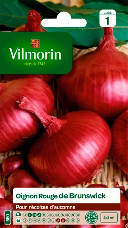 Oignon rouge de brunswick VILMORIN 5 g