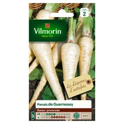 Panais De Guernesey Vilmorin 9 G