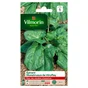Epinard monstrueux de viroflay VILMORIN 15 g