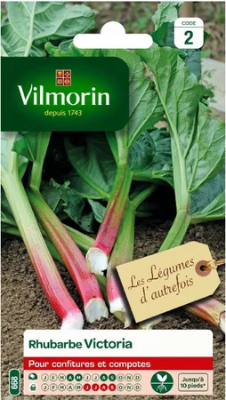 Rhubarbe victoria victoria VILMORIN 2 g