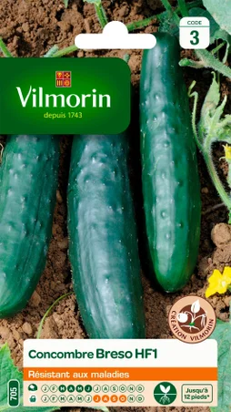 Concombre breso, hybride f1 VILMORIN 1 g
