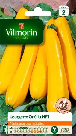 Courgette orelia, hybride f1 VILMORIN 2 g
