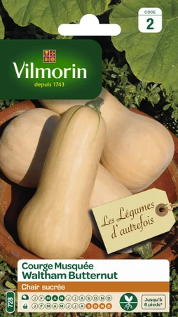 Courge Waltham Butternut Vilmorin 3 G