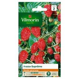 Fraisier Des 4 Saisons Suprême Vilmorin 0.25 G
