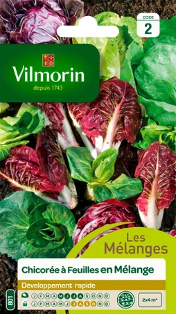 Mélange mélange de chicorées VILMORIN 4 g