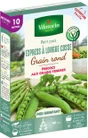 Graine potager Pois express à longue cosse VILMORIN