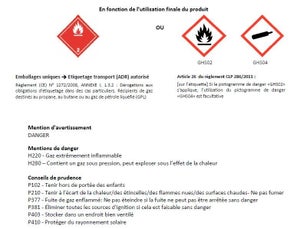 Bouteille vide de gaz butane (sans gaz), VISEO, 10 kg