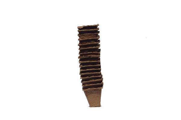 Lot de 12 pots biodégradables