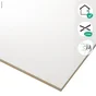 Carrelage mur interieur blanc brillant Arctic  l.30 x L.60 cm ARTENS