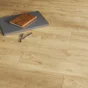 Carrelage sol/mur interieur effet bois l.20 x L.120 cm ARTENS