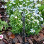 Micro-irrigateur 77 l/h GEOLIA Geo9500