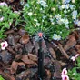 Lot de 3 micro-irrigation microdiffuseur GEOLIA
