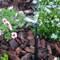 Lot de 3 micro-irrigation microdiffuseur GEOLIA