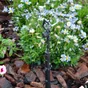 Lot de 3 micro-irrigation microdiffuseur GEOLIA