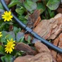 Lot de 25 jonctions GEOLIA diam.4-6 mm