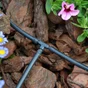 Lot de 10 raccords en T diam.4-6 mm