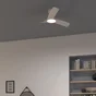 Ventilateur de plafond Aruba+ d112cm led cct/dimmable blanc INSPIRE