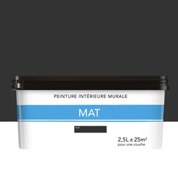 Peinture mur mat 2.5l noir