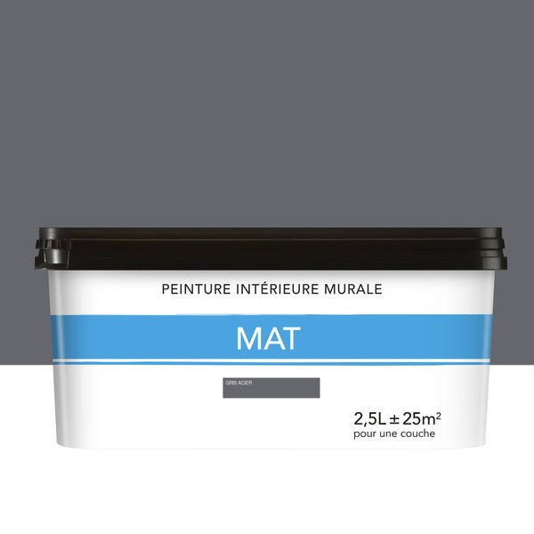 Peinture mur mat 2.5l gris acier