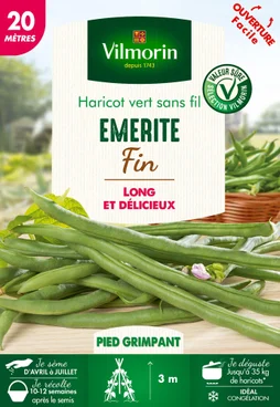 Haricot vert fin sans fil  EMERITE VILMORIN