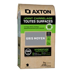 Joint tous types de carrelage et mosaïque gris moyen AXTON, 5 kg