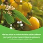 Engrais Plantes Med GEOLIA 1Kg