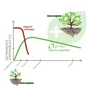 Engrais Plantes Med GEOLIA 1Kg
