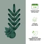 Engrais buis et coniferes GEOLIA 5Kg
