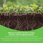 Granule activateur de compost GEOLIA 1 kg