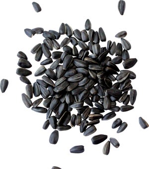 Tournesol noir oiseaux Zolux seau 4kg avec doseur inclus