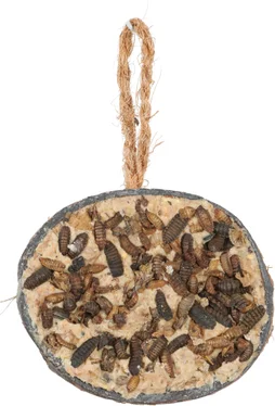 Demi coco graisse sans huile de palme/additif insectes Zolux 250g