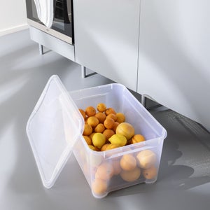 Boite transparente 45l h.28.5 x l.55.5 x p.39 cm