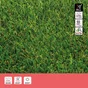 Gazon artificiel SOLTA NATERIAL, rouleau, 2 x 5 m x 20 mm