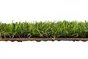 Gazon artificiel SOLTA NATERIAL, rouleau, 2 x 5 m x 20 mm