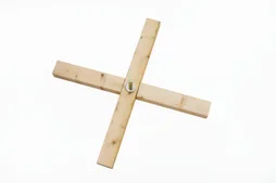 Sapin naturel nordmann coupe