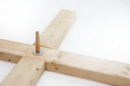 Sapin naturel nordmann coupe