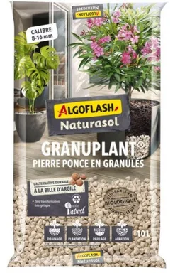Sapin naturel nordmann coupe