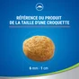 Friandise chat NESTLE PURINA DENTALIFE saumon 40g